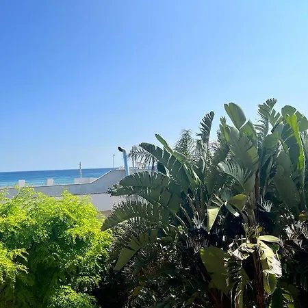 Irene Fronte Mare Campomarino Holiday home *